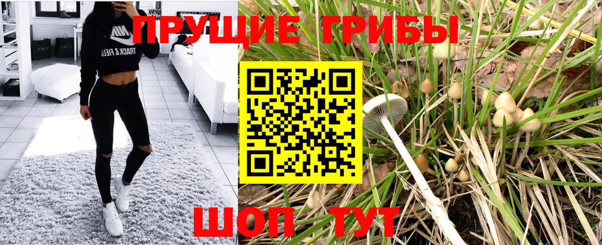 Галлюциногенные грибы Cubensis  Вход с VPN  Асино 